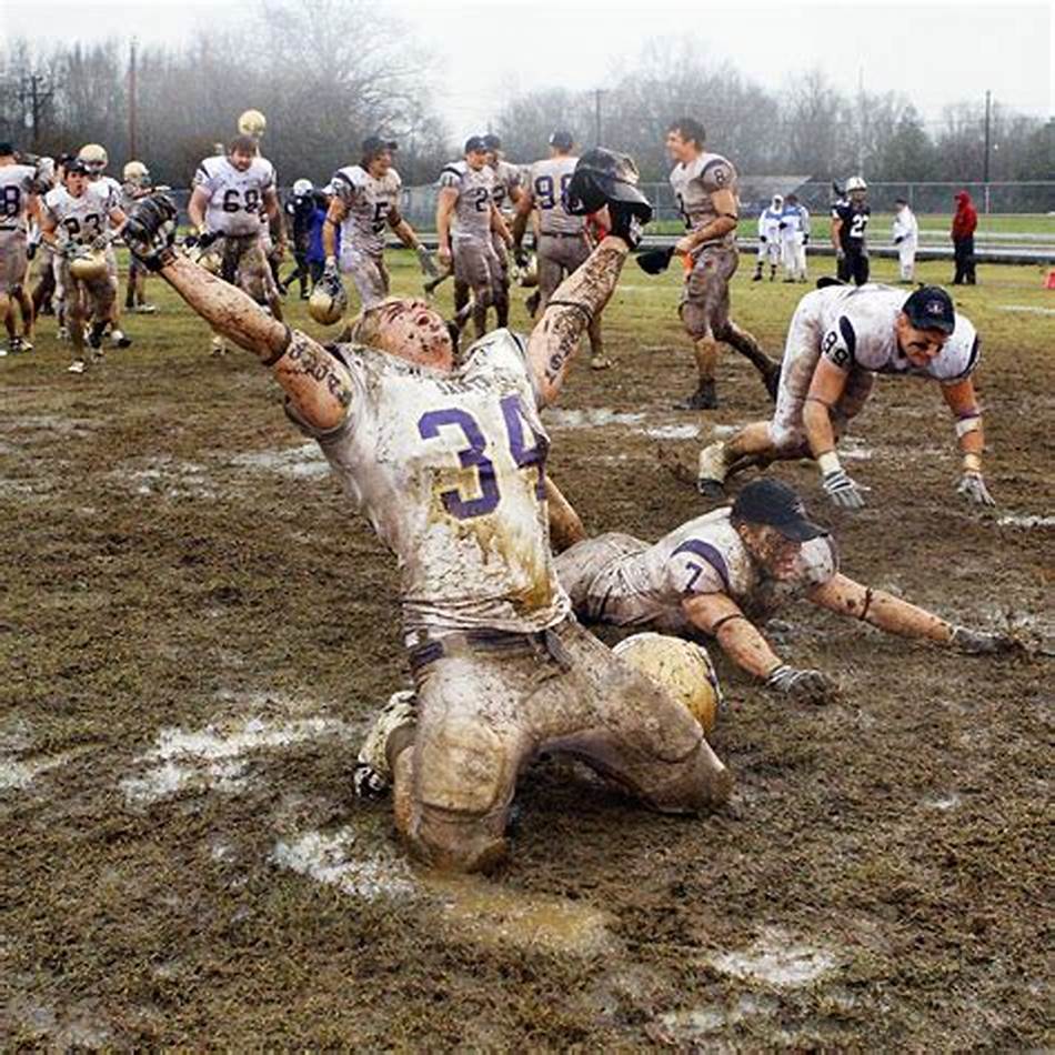 勇士队完美 勇士队完美