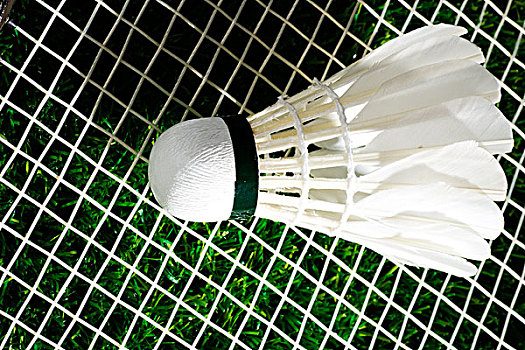 運動心理學 運動心理學