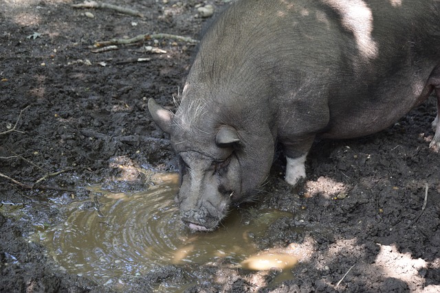 她以稳定的 她以稳定的